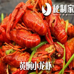 秘制家小龍蝦 創(chuàng)新產(chǎn)品展示與創(chuàng)業(yè)新機(jī)遇